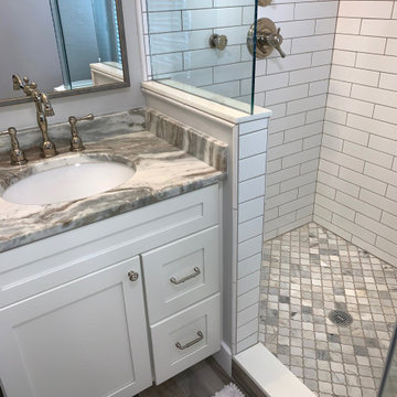 Fereshteh C. Master bathroom remodel