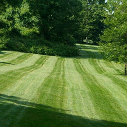 Overseeding - Products