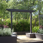 Contemporary Native Australian Garden - Contemporary - Landscape