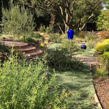 Lawn Replacement in a Challenging Environment