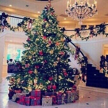 Wish List