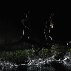 Winding Creek - Artwork