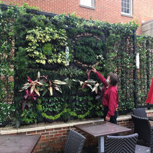 plant walls