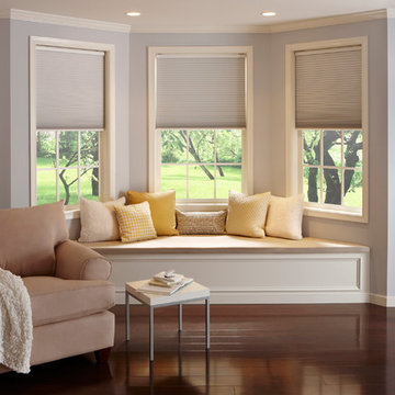 Automatic Window Blinds