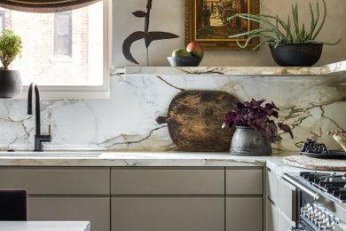 Kitchen - transitional kitchen idea in Chicago