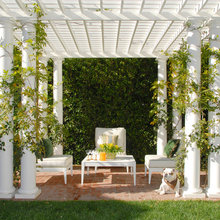 Patio Ideas