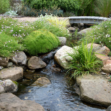 Blackburn cottage garden with stream
