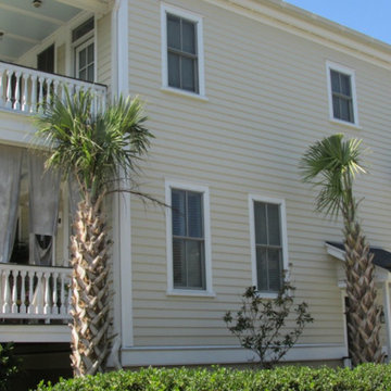 Palm Tree Gallery