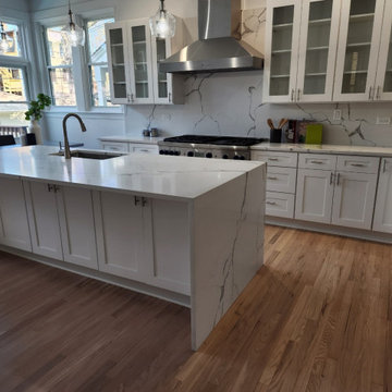 Roscoe Village- Kitchen Remodel
