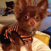 Kristin O'Connor's photo