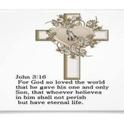Fran Boyd's photo