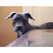 Katrina Wojciechowski's photo