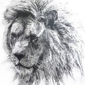 Peter O'Neill's photo