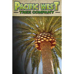 Pacific West Tree Company