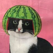 Alice Strong's photo