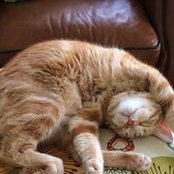 Amy Whitten's photo
