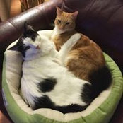 Lydia Pflieger's photo