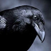 Antal Csaba's photo