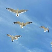 Pao Cuellar's photo