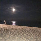 Natali Migal's photo