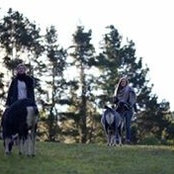 Elle Cook's photo