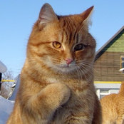 Olga Bahorevas foto
