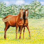 Betsy Drake - Horses Door Mat 30x50 - These decorative floor mats are made with a synthetic, low pile washable material that will stand up to years of wear. They have a non-slip rubber backing and feature art made by artists Dick Hamilton and Betsy Drake of Betsy Drake Interiors. All of our items are made in the USA. Our small door mats measure 18x26 and our larger mats measure 30x50. Enjoy a colorful design that will last for years to come.