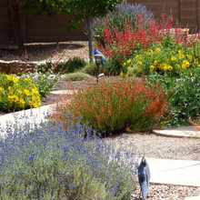 Drought tolerant Garden