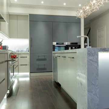 Fenix kitchen cabinets