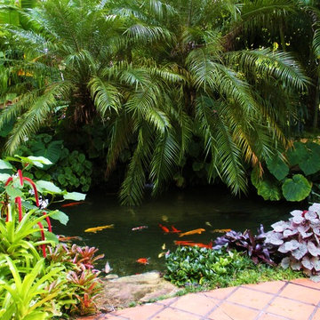 courtyard koi pond