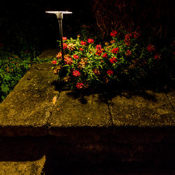 Old To New - Landscape Lighting