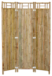 Bamboo54
