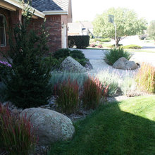 Front yard