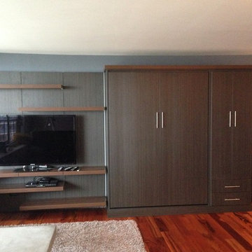 Chicago Condo mixed use Entertainment System