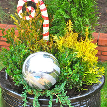 Planters, holidays