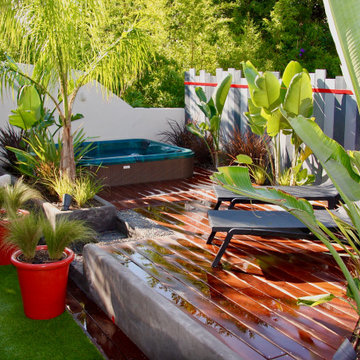 Les pots rouges et les strelitzia..