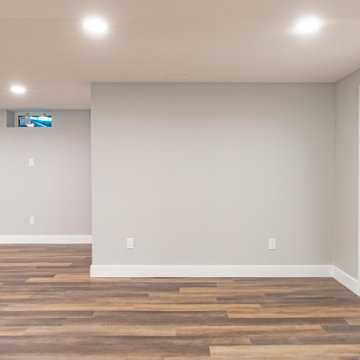 Doylestown Basement