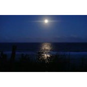 Emma Ponce's photo