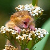 Aly Gomes's photo