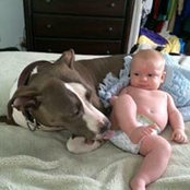 Lynn LaBriola's photo