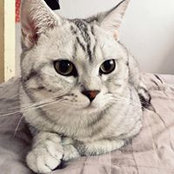 Foto de Sam Yang