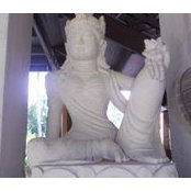 Jan Novotný's photo
