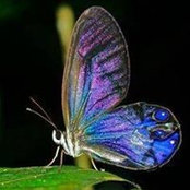 Gina Sawyer's photo