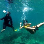 Ines Coquelicot's photo