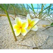 Foto von Trish Evans