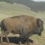 Scott Moran's photo