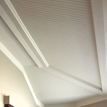 SUNR1