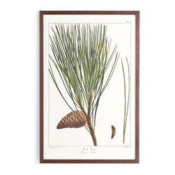Evergreen Wall Art - Red Pine - Artwork
