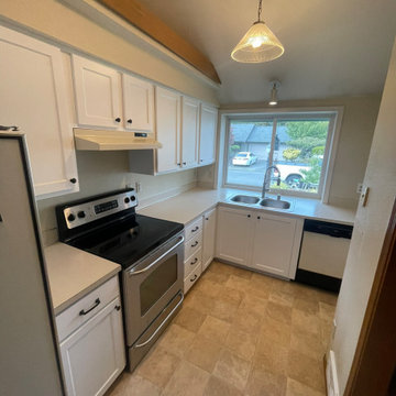 Small Kitchen Refresh With Custom Cabinet Painting | Valrico, FL