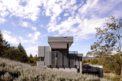 Modern metal exterior home idea in San Francisco